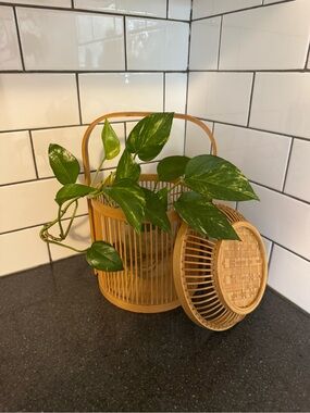 Bamboo Wicker Birdcage Basket Decor